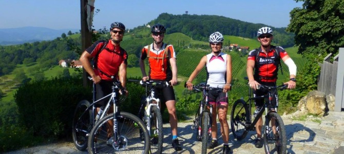 Aussichtswarte Kungota Aussichtswarte Kungota