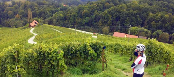 Schöne Runde entlang der südsteirischen Grenze Schöne Runde entlang der südsteirischen Grenze